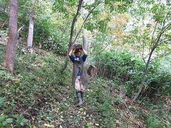 平成27年10月10日(土) 高川山林 天候:晴れ 参加:10名_c0173813_21311766.jpg
