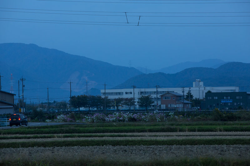 a0278914_67837.jpg