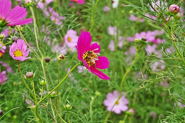 d0025414_20154941.jpg