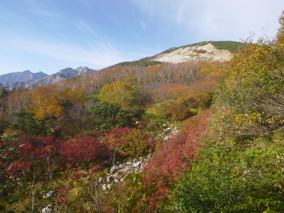 唐松岳 (2,695.9M)    扇雪渓 編_d0170615_15582815.jpg