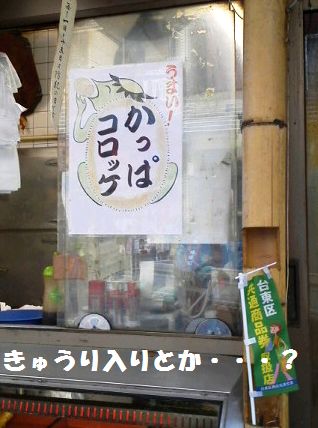 かっぱ橋はかっぱ天国!?_e0234016_1746182.jpg