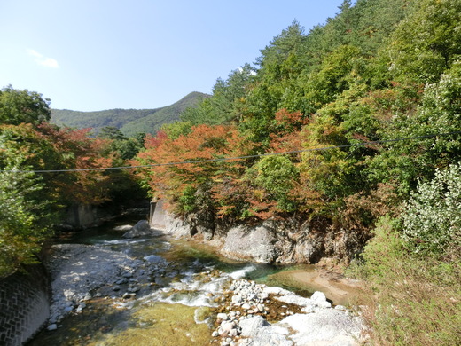 【１日目】紅葉求めて北上ツー。蔵王キツネ村。_d0221319_12341326.jpg