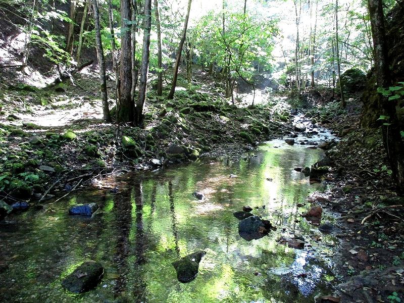 上野村　西上州の奥山　下ヤツウチグラと諏訪山　　　　Suwayama in Uenomura,Gunma_f0308721_20173699.jpg