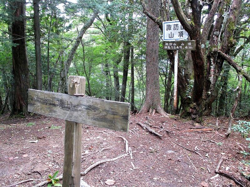 上野村　西上州の奥山　下ヤツウチグラと諏訪山　　　　Suwayama in Uenomura,Gunma_f0308721_20472498.jpg