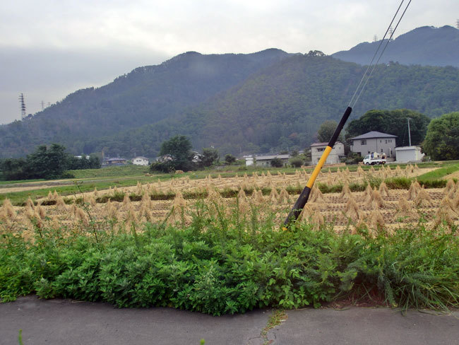 ええじゃないか（上田　道と川の駅　おとぎの里）_d0066822_09573423.jpg