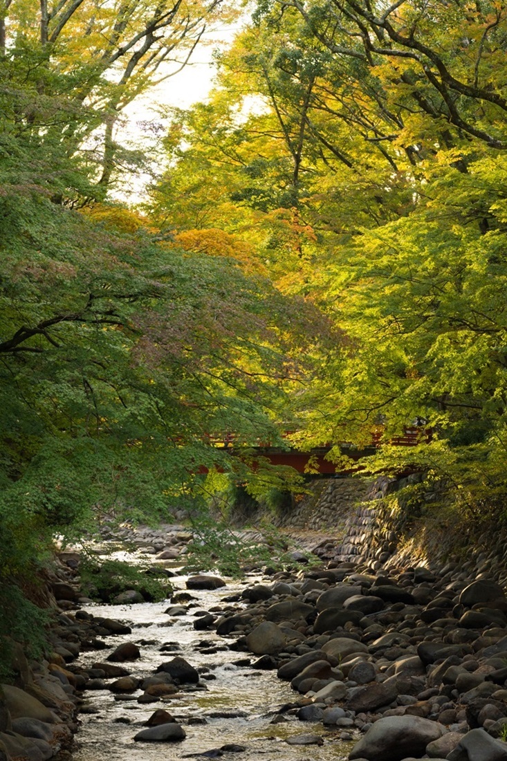 静岡2週間滞在【その２】_e0346322_15161232.jpg