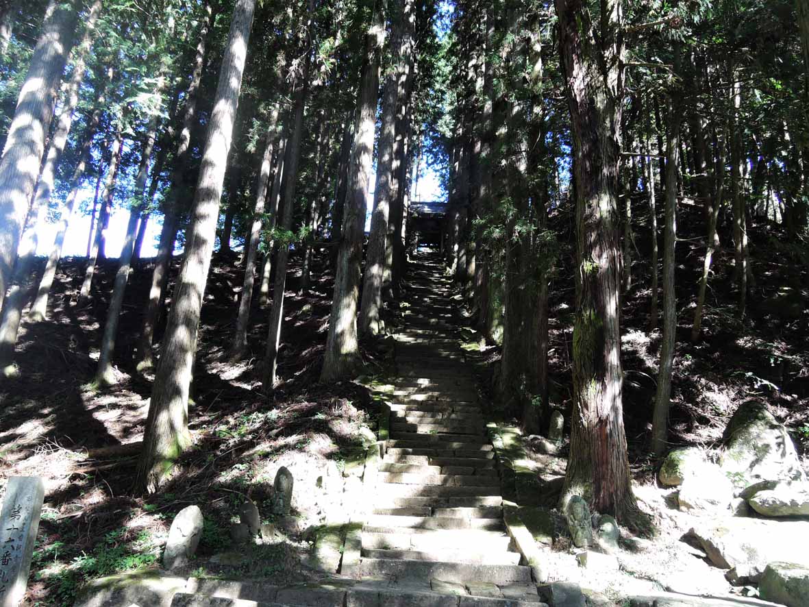d0211129_10305674.jpg
