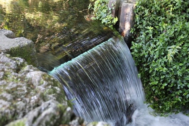 f0348831_11012571.jpg