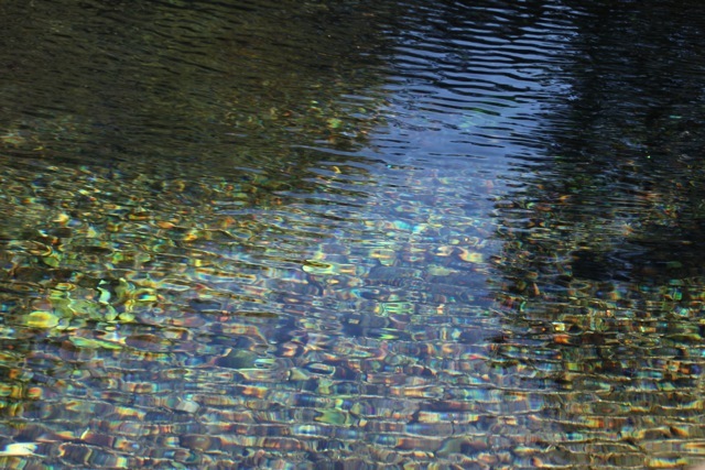f0348831_11013006.jpg