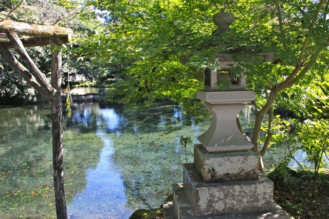 f0348831_11020647.jpg