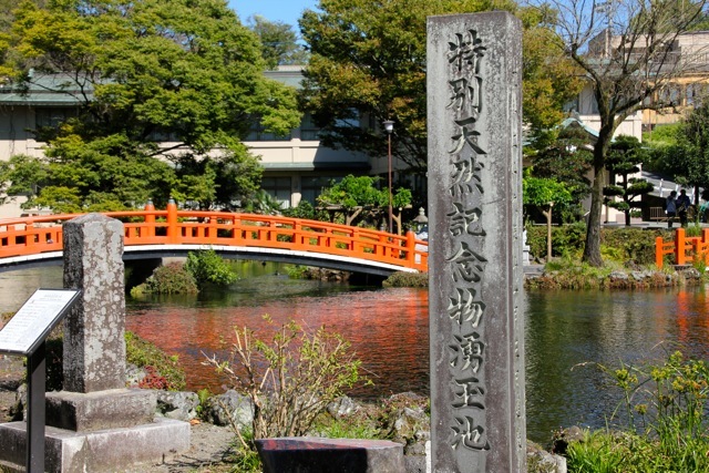 f0348831_22185485.jpg