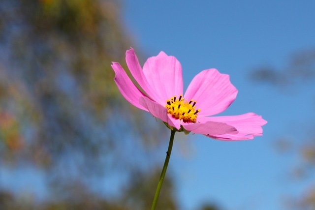 f0348831_22271704.jpg