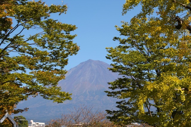 f0348831_22272115.jpg