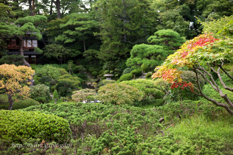 山形の旅（８）_d0108132_12475592.jpg