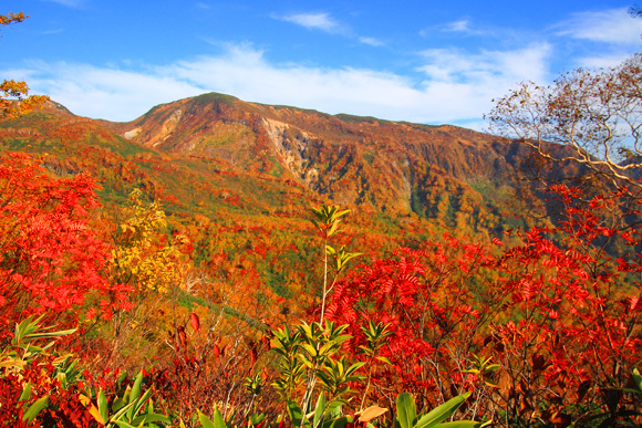 白山 紅葉の平瀬道①_d0341037_22121277.jpg