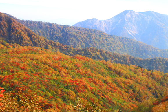 白山 紅葉の平瀬道①_d0341037_22561892.jpg