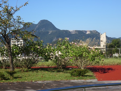 f0202151_224277.jpg
