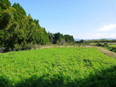 a0254656_15215895.jpg