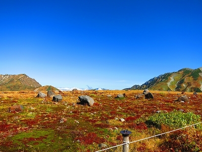 e0170558_17294059.jpg