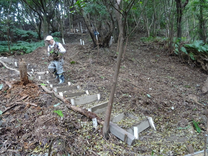 c0108460_23252293.jpg