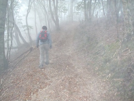 関西の名山を歩く　３日目　伯母子岳・護摩壇山_d0032262_8171867.jpg