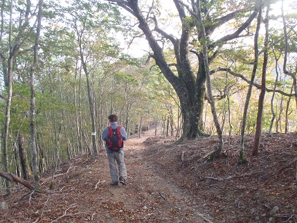 関西の名山を歩く　３日目　伯母子岳・護摩壇山_d0032262_822746.jpg