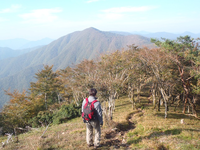 関西の名山を歩く　３日目　伯母子岳・護摩壇山_d0032262_8264891.jpg