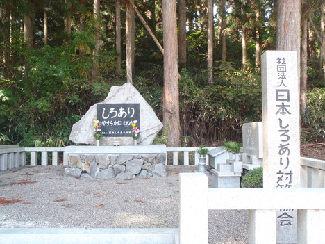 d0032262_8592069.jpg