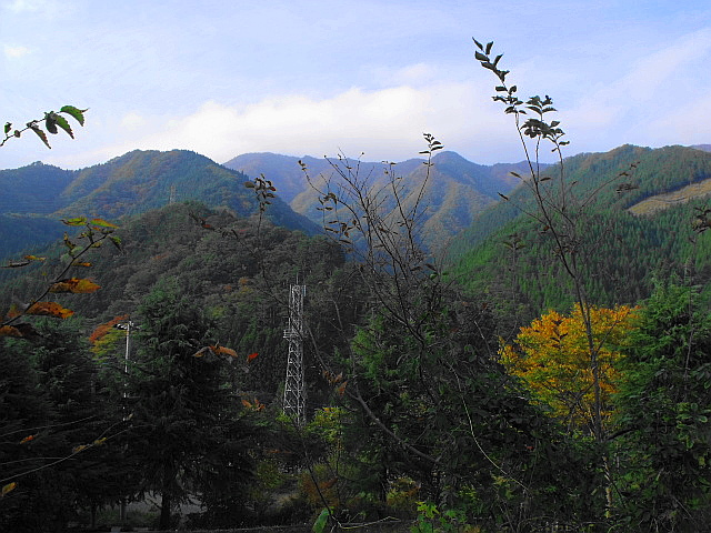分け入つても分け入つても青い山 ラフロイグブログ 分け入つても分け入つても青い山 ラフロイグブログ