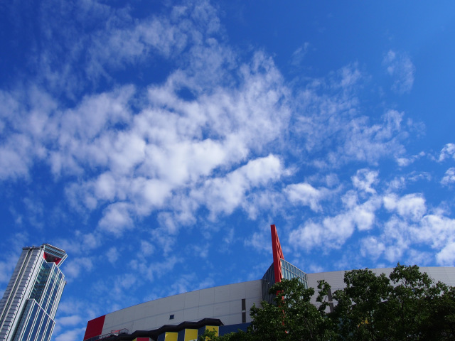 d0042474_22272982.jpg