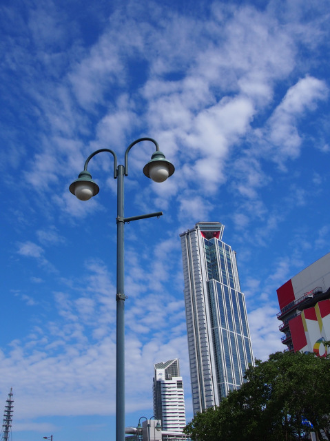 d0042474_22273540.jpg