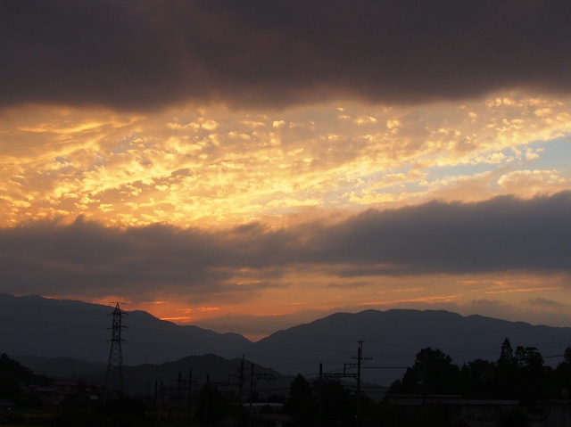 d0042474_23414027.jpg