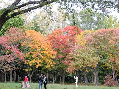 f0083977_21352013.jpg