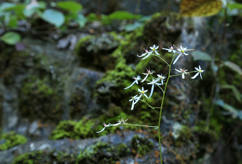 f0000789_1073318.jpg
