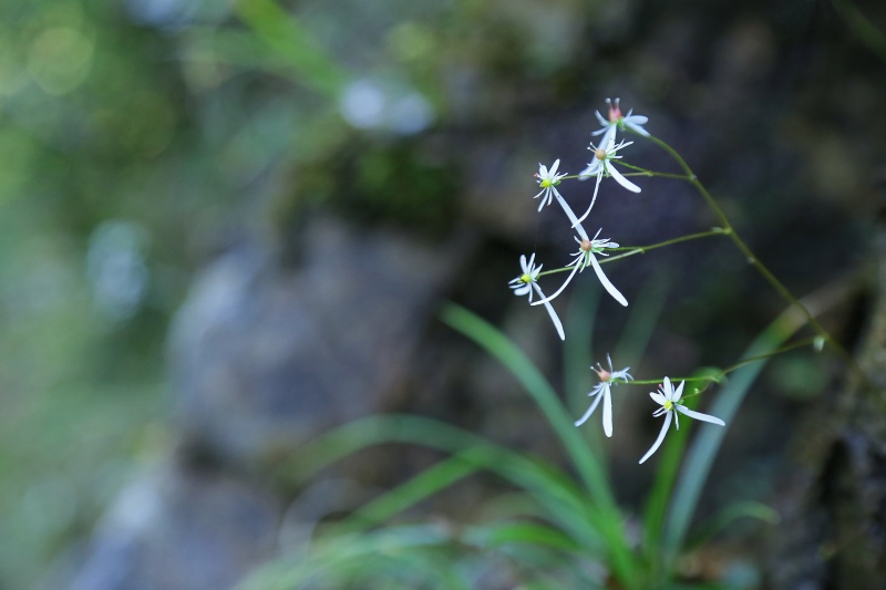 f0000789_107425.jpg