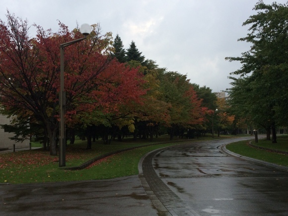 紅葉の中島公園_d0107097_16572151.jpeg