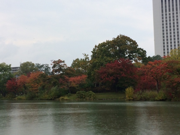 紅葉の中島公園_d0107097_16593520.jpeg