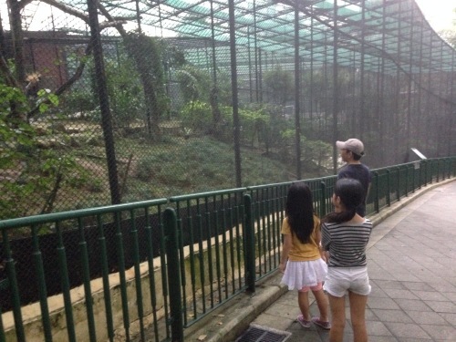 香港動植物公園の近くのレストラン_b0300699_09124249.jpg