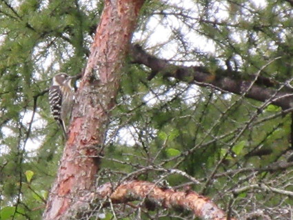 c0212604_3545669.jpg