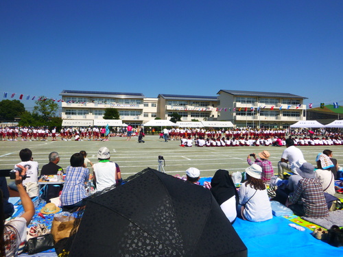 a0236914_1240926.jpg