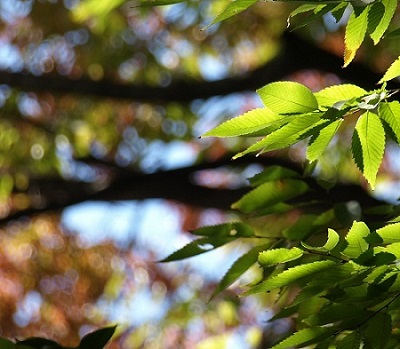 c0247614_1734713.jpg