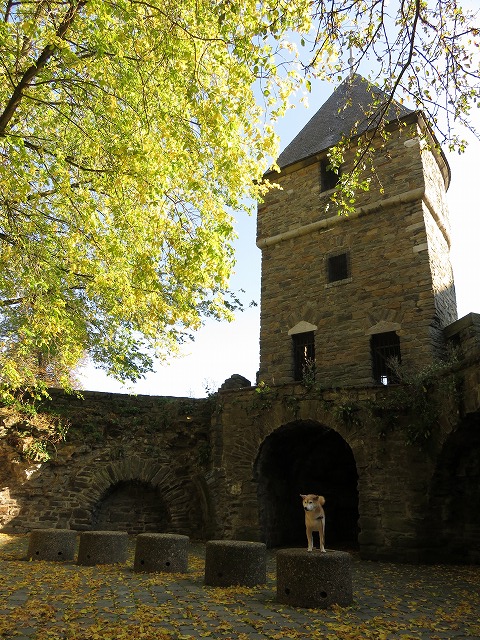 b0225620_4102165.jpg