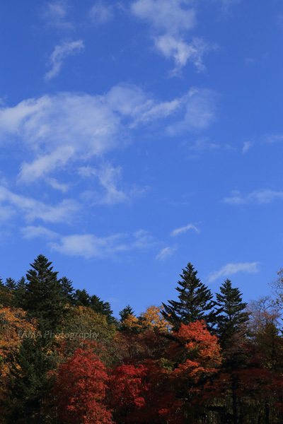 c0024729_13392883.jpg