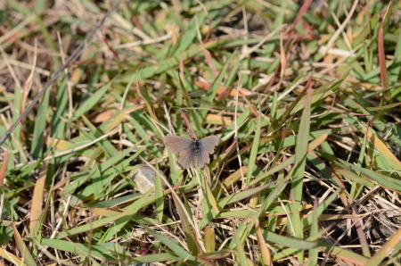 c0353632_17034852.jpg
