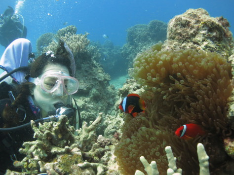 10月12日瀬底島で快適ダイブ_c0070933_21440491.jpg
