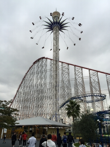 c0113733_1264264.jpg