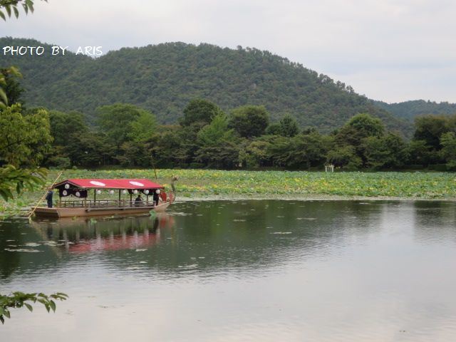 大覚寺♪_f0295238_21093000.jpg