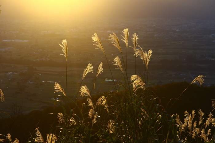 f0346740_08181646.jpg