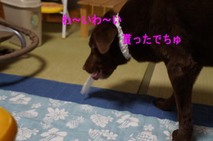 d0013645_18105132.jpg