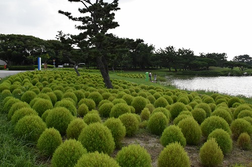 f0343750_950576.jpg